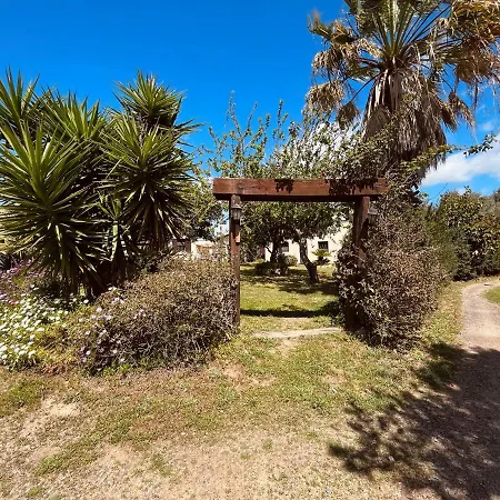 Agricantus 2000 * 卡波特拉