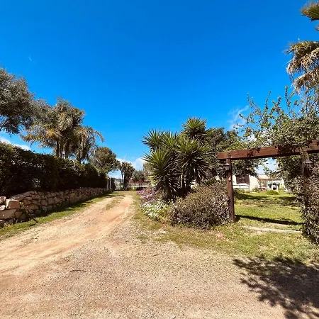 Agricantus 2000 卡波特拉