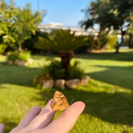 مزرعة للإقامة Agricantus 2000 *